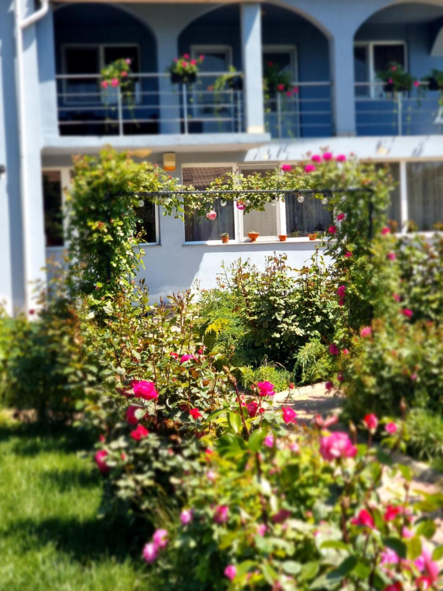 Guest house Casa Cu Trandafiri *