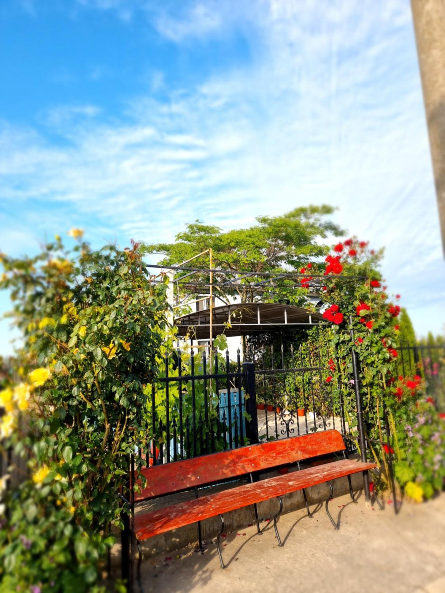 Casa Cu Trandafiri